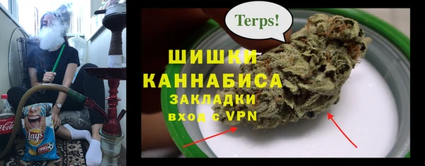 ГАЛЛЮЦИНОГЕННЫЕ ГРИБЫ Семилуки