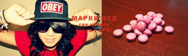 ГАЛЛЮЦИНОГЕННЫЕ ГРИБЫ Семилуки