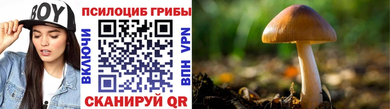 Псилоцибиновые грибы мухоморы kraken зеркало Балахна где купить