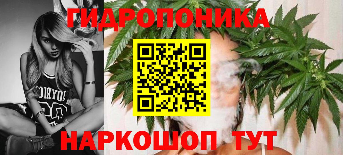 Канабис семена  Вход с VPN  Шишки марихуана конопля  МАРИХУАНА Bruce Banner  Бошки марихуана ГИДРОПОН  Балахна 